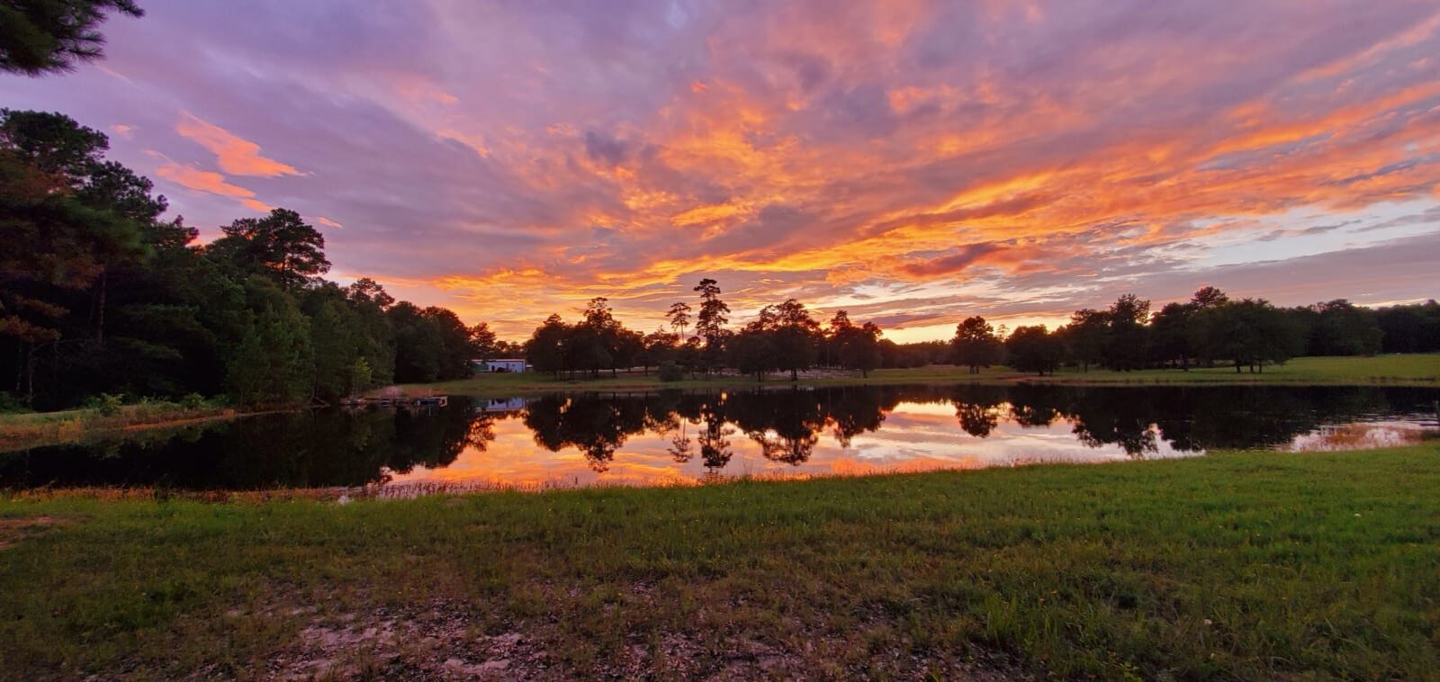 Sunset over the pond at the farm, with open pasture and a pine treeline beyond.
